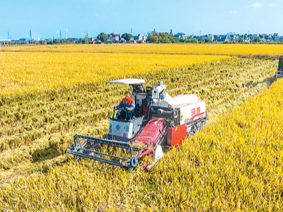 六组数据，感受中国经济脉动