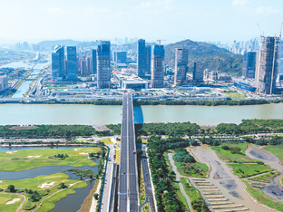 书写经济跨越式发展华章（莲花盛开·真情廿五）