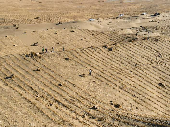 三大国际机构点赞我国沙漠治理成果