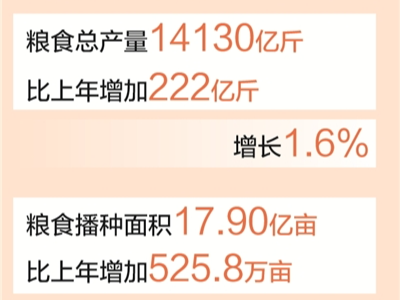 我国粮食年产量首次迈上1.4万亿斤新台阶（新数据 新看点）
