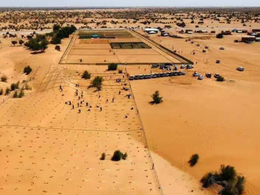 新疆这支团队在非洲建了一座绿色技术公园