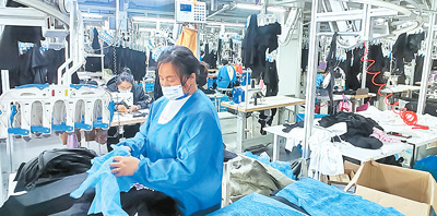 稳外贸，政策性保险来出力