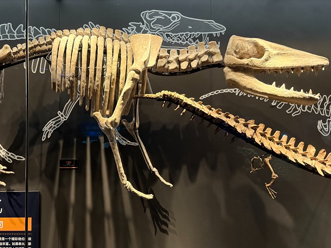 【2024打卡中国】外国网红探访“新”天津 看文化与科技双翼并举（组图）