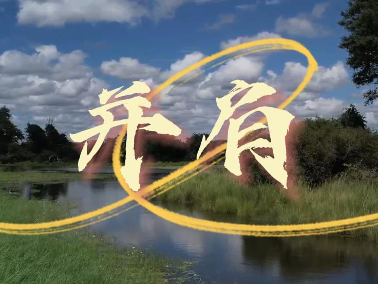 心愿·2025丨合作共赢 同心逐梦