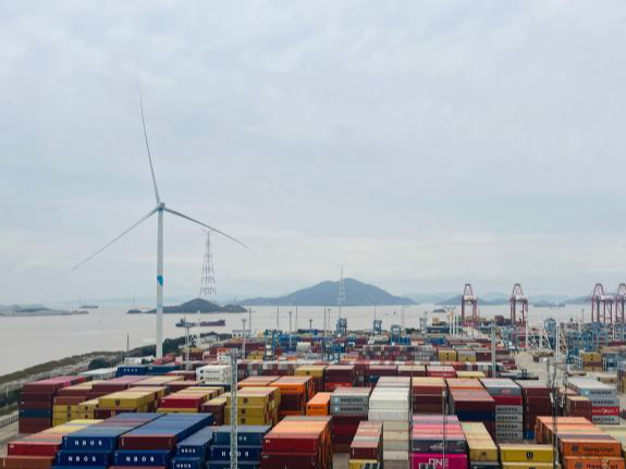 “一带一路”金枢纽｜ 外籍达人打卡宁波舟山港：连接世界的货运动脉