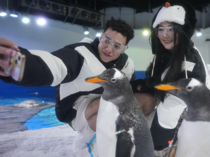 外国网红看海南 | 中英情侣相约海南陵水 在海洋欢乐世界体验“上天”“入海”