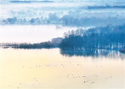 水天烟树（侨乡新貌）