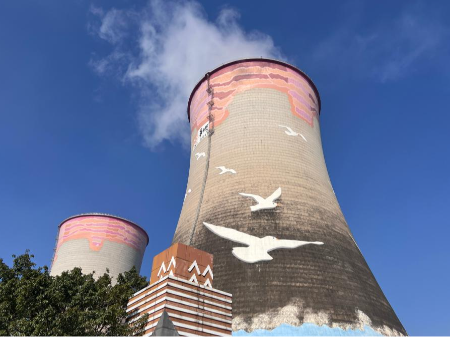 新时代中国调研行之看区域·大湾区篇｜解锁超大城市广州的“美丽密码”