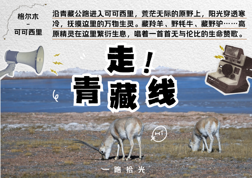 走！青藏线｜一路拾光到可可西里