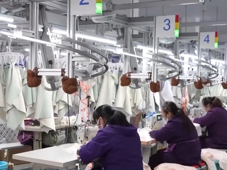 锚定现代化 改革再深化丨浙江：数智化改造 推进先进制造业集群建设