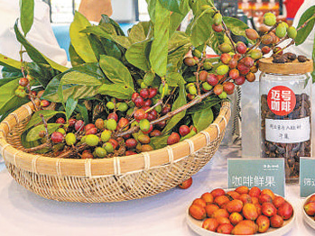 做强做优热带特色高效农业（新时代画卷）