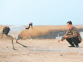 生物多样性的“湿”意画卷（遗产小道·海岸带）