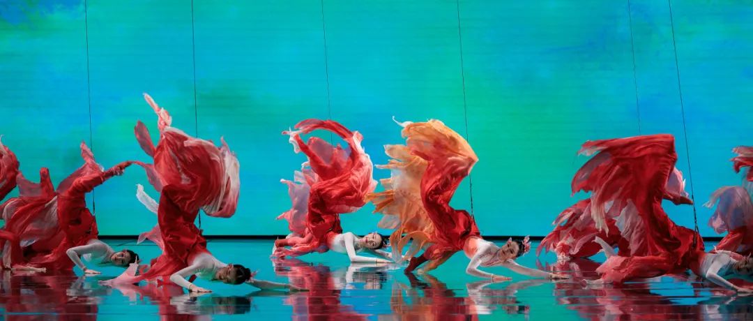 春晚舞蹈锦鲤如何跃向总台原创的龙门