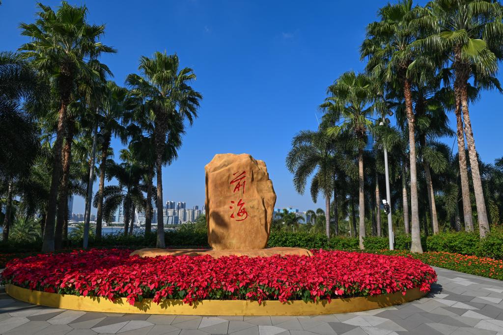 软硬联通，协同融合——《粤港澳大湾区发展规划纲要》公开发布五周年侧记