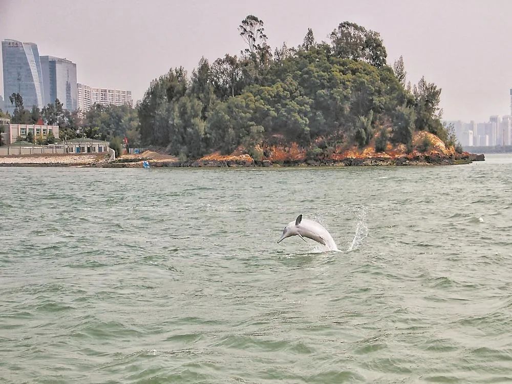 【学习小组】从一个湖到一片海