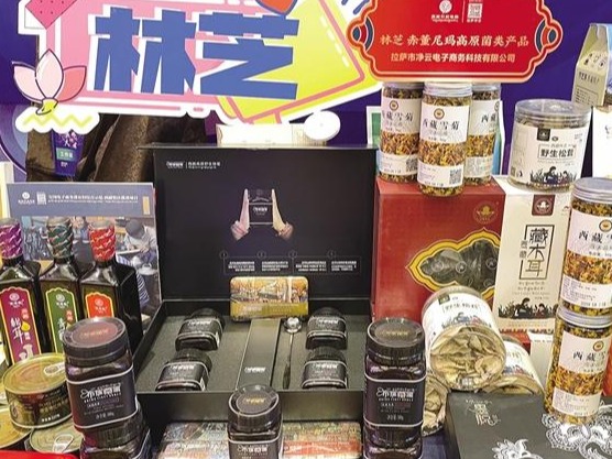 去年我区网上零售额实现173.1亿元