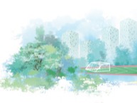 向下扎根 向上生长（深聚焦）