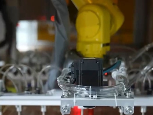 “家和才能万事兴”！台商台企庆元宵迎团圆 期待深化两岸融合发展