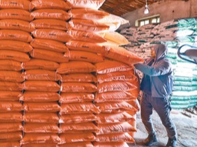 农资储备足 春耕有保障（田间地头看春耕）