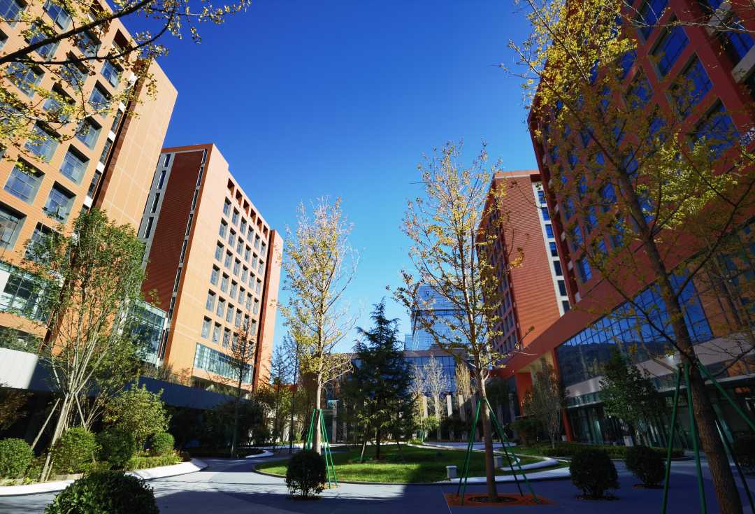 搭建港澳青年创新创业平台