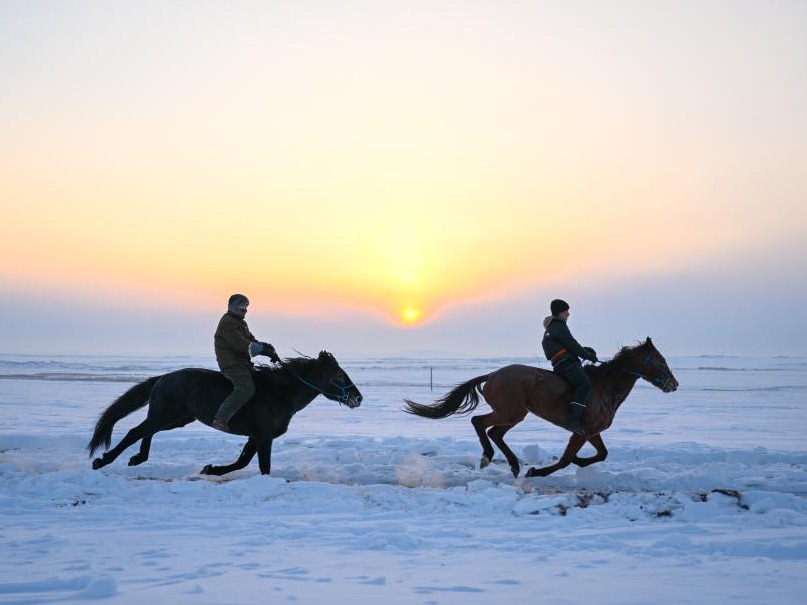 “十四冬”城市故事｜天天都有那达慕，这里是陈巴尔虎旗