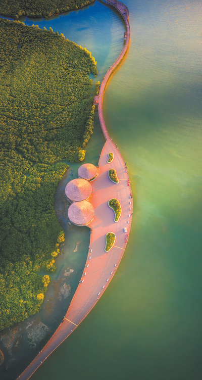 鹭岛蝶变厦门实践