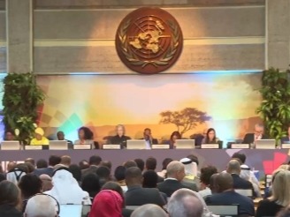 聚焦多边合作 第六届联合国环境大会将讨论多项决议