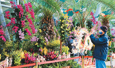 兰香悠远越古今