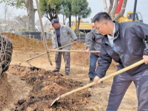 造林绿化 建设美丽中国（美丽中国）