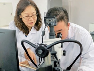 造林绿化 建设美丽中国（美丽中国）