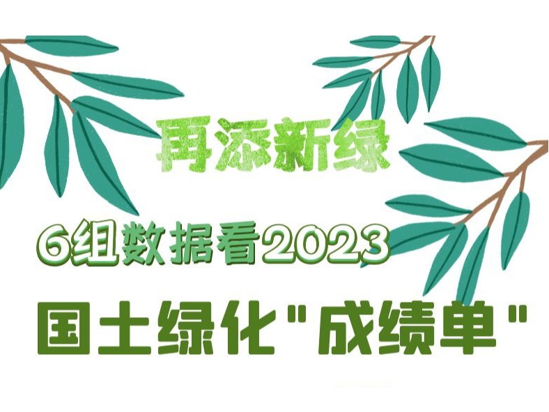 数读中国 | 再添新绿 6组数据看国土绿化“成绩单”