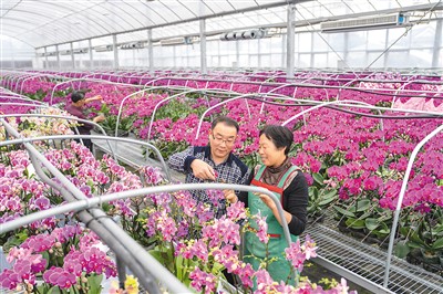 “小院”里有大文章（一号文件连连看⑥）