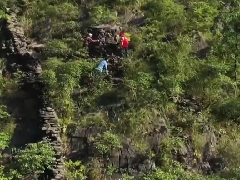 “植”此青绿 | 各地因地制宜 因材施策 绘出美丽中国更新画卷