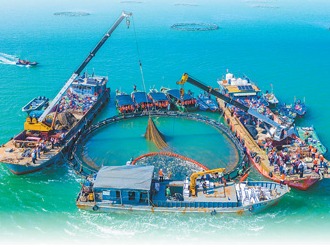 耕海牧渔，向海洋要食物（一线调研）