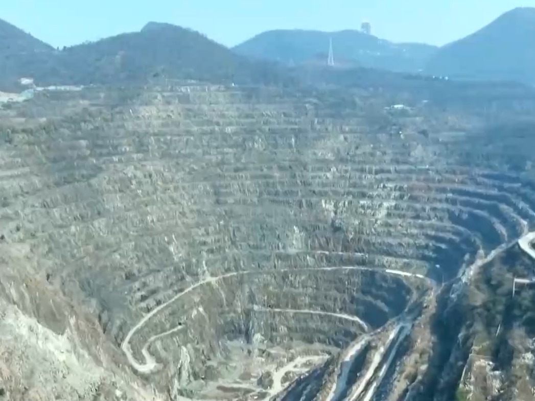 时空观察丨“植”此青绿 共建美丽中国如何向“新”而行？