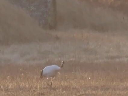 “数”说经济“春潮涌动” 在奋进的春天感受蓬勃活力与信心