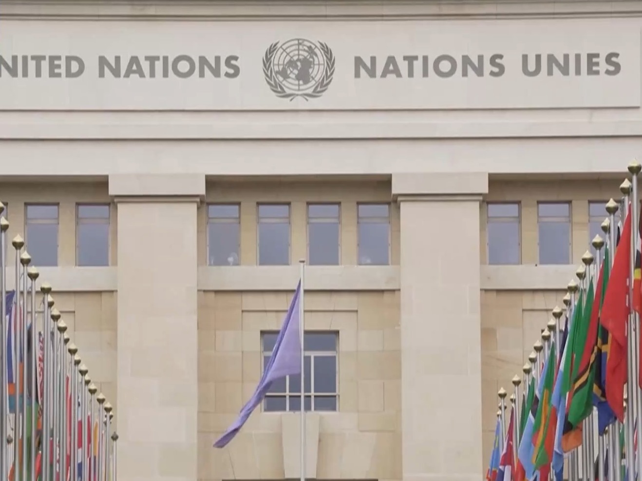 中外专家呼吁国际社会团结合作 推动高质量发展