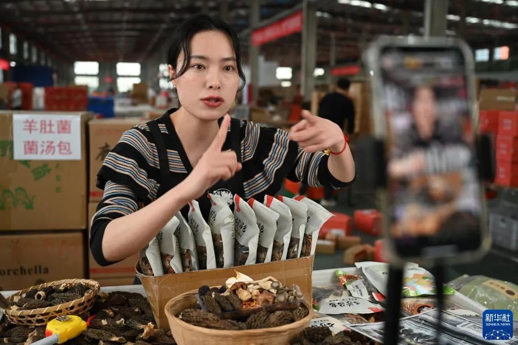 海外网评：农村电商高质量发展正提速