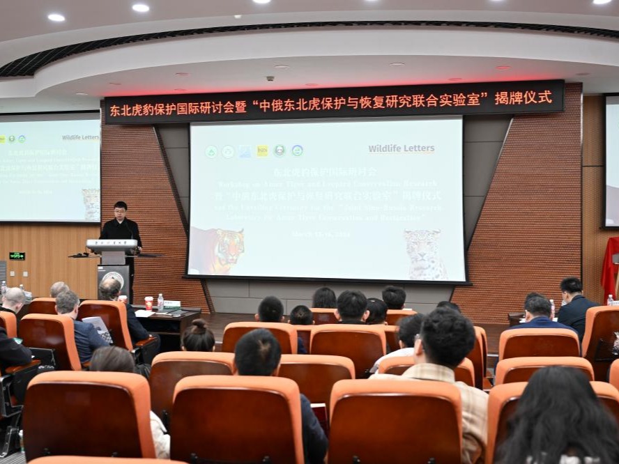 中俄成立联合实验室保护东北虎