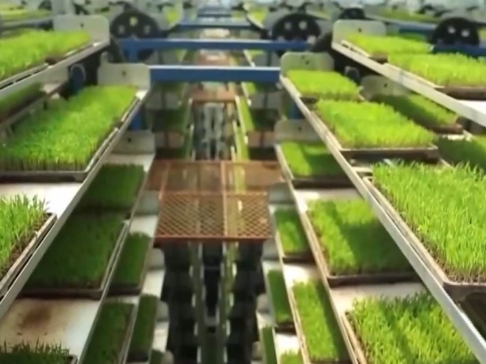 用代码种田！“新质生产力”下的农田可以这样酷→