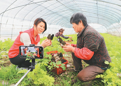 为农村电商发展再加把劲（锐财经）