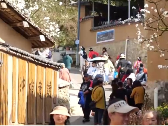 消费市场“春潮涌动” “春日经济”释放更多经济活力