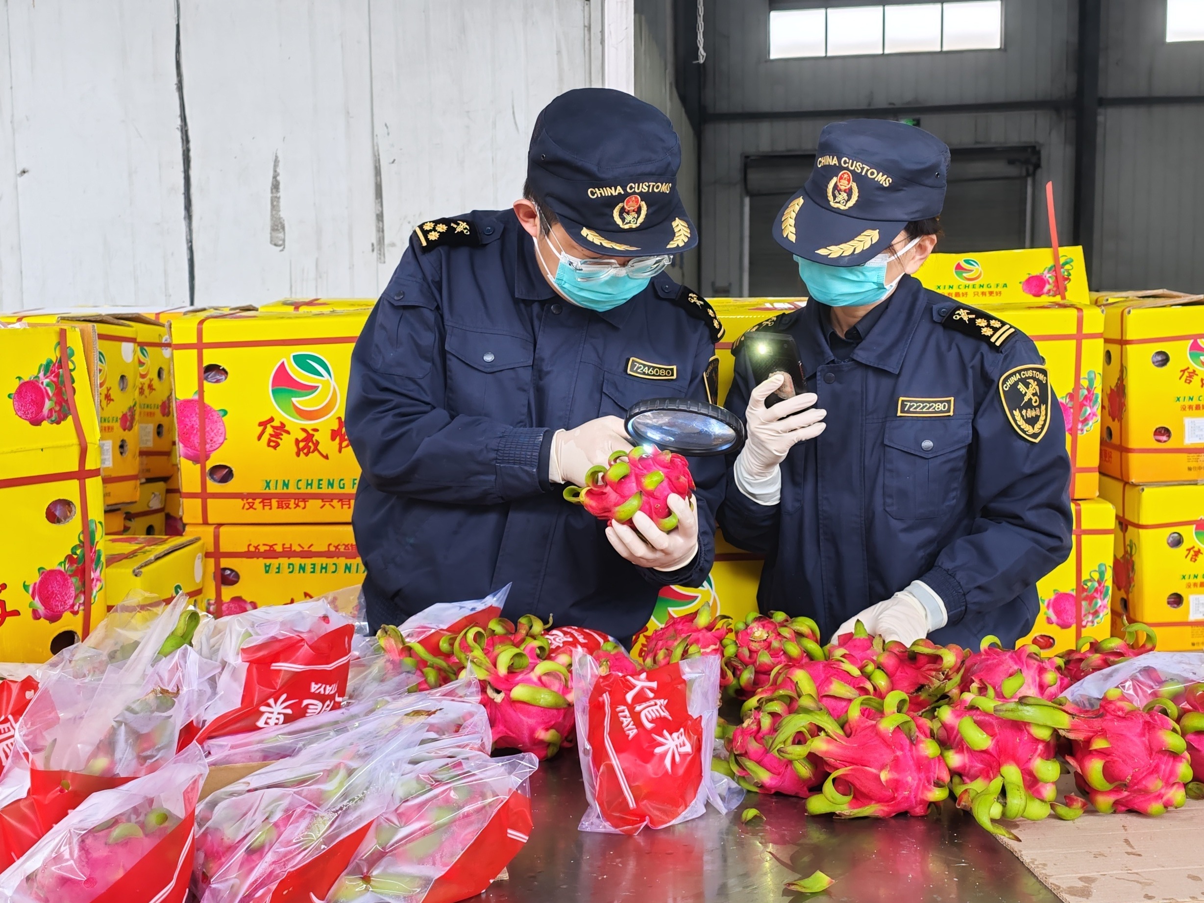 前2个月广西与东盟水果进出口快速增长