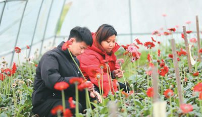 春回大地暖 春耕备耕忙