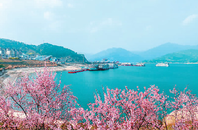 “春游经济”热度持续攀升