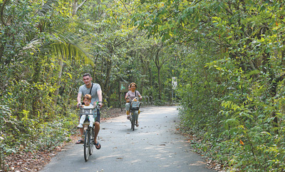 共同促进森林保护与可持续发展（国际视点）
