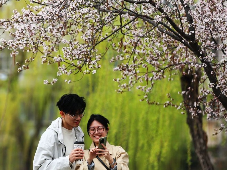 踏青赏花 乐享春光