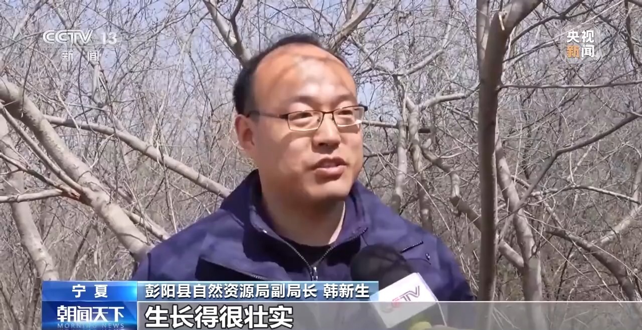 让每滴水发挥最大价值三北工程攻坚战这样拧紧水龙头