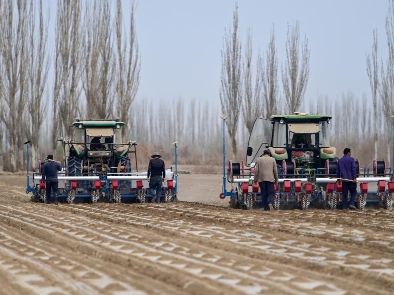 新华全媒+丨我国棉花主产区春播大幕开启