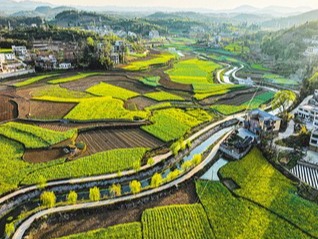 “每一滴水都值得我们去用心守护”